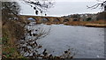 NY9864 : The bridge over the River Tyne at Corbridge by Clive Nicholson