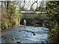 Boys in River Wandle