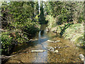 River Wandle (Carshalton branch)