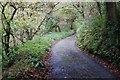 Narrow lane to Darracott