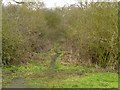 Path on old railway line