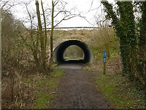 SK8336 : Sustrans route 15 at Stenwith Bridge by Alan Murray-Rust