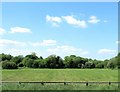 Harvested hay field on the north side of the A28