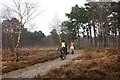 TQ0758 : Horse riders, Wisley Common by Simon Mortimer