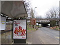 ST3188 : Zinger advert on a Malpas Road bus shelter, Newport by Jaggery