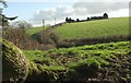 Fields at South Bray