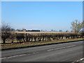 View of New Jerome Cottage from the Redbourn Road  A5183