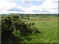 Pasture, Dyke Hill