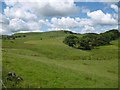 View toward Dod Hill