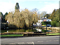 Village pond, Crawley