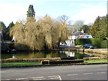 SU4334 : Village pond, Crawley by Robin Webster