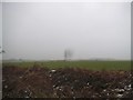 Field near Trowley Bottom