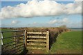 Field boundary near Hilltown