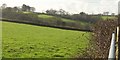 Fields at Warkleigh