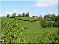 Farmstead on a drumlin above the Ballymoyer Road