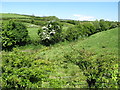 The headwaters of the Tullyvallon River above Bradley