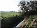 West Common North Drain and Sands Lane Farm