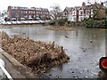 Kew Green pond