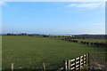 Farmland at Moorfield