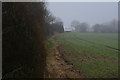 East Devon : Grassy Field