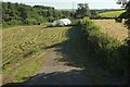 Polytunnel, Gorton Dene