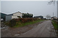 Mid Devon : Country Lane