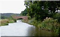 Canal north of Bonehill, Staffordshire