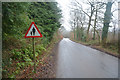 Mid Devon : Country Road