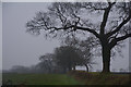 Mid Devon : Countryside Scenery