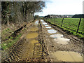 Puddles on footpath to Tindall Hall