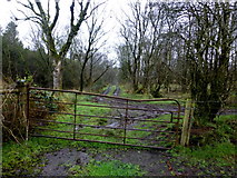 H5269 : Rusty gate along a country lane, Tattykeeran by Kenneth  Allen