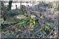 Remains of Twyford End Lock, Itchen Navigation