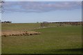 Fields, Craster West