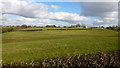 Pastoral scene east of Fillongley