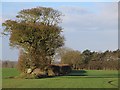 Fields north of Brandesburton