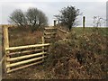 Ranch Fence at Waun Wen