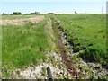 Drainage ditch on the north side of Coiners Lane