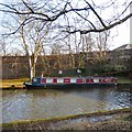 Oriole on the Bridgewater Canal