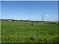 View across reclaimed land towards Aghincurk Road