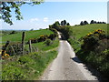 View South-Eastwards along Dairy Lane