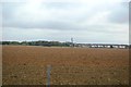 Farmland, East Tilbury