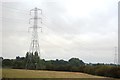 Pylons near Mucking