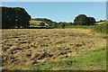 SS7726 : Mown field near Veraby by Derek Harper