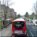 244 bus at bus stop on Shooters Hill Road