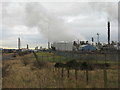 NT1890 : Mossmorran Chemical Plant by M J Richardson