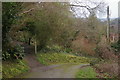 Footpath crosses the lane down to Pencalenick