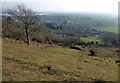 Axbridge from Shute Shelve Hill