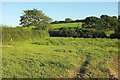 Field by Bommertown Cross