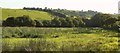 Field by Bommertown Cross