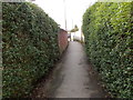 Footpath - Birstwith Road